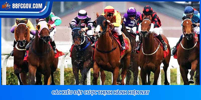 Các kiểu đặt cược thịnh hành hiện nay