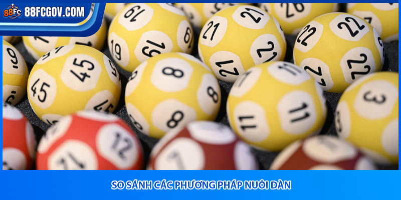 So sánh các phương pháp nuôi dàn