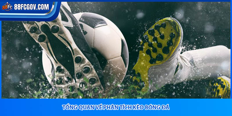 Sơ lược thông tin về phân tích kèo bóng đá